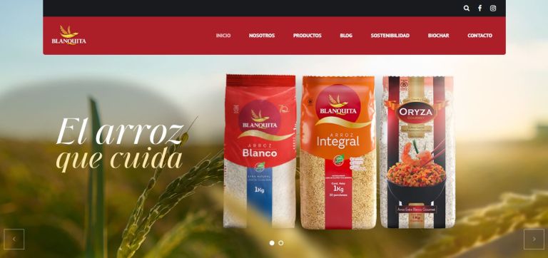 👉 blanquita.com.co